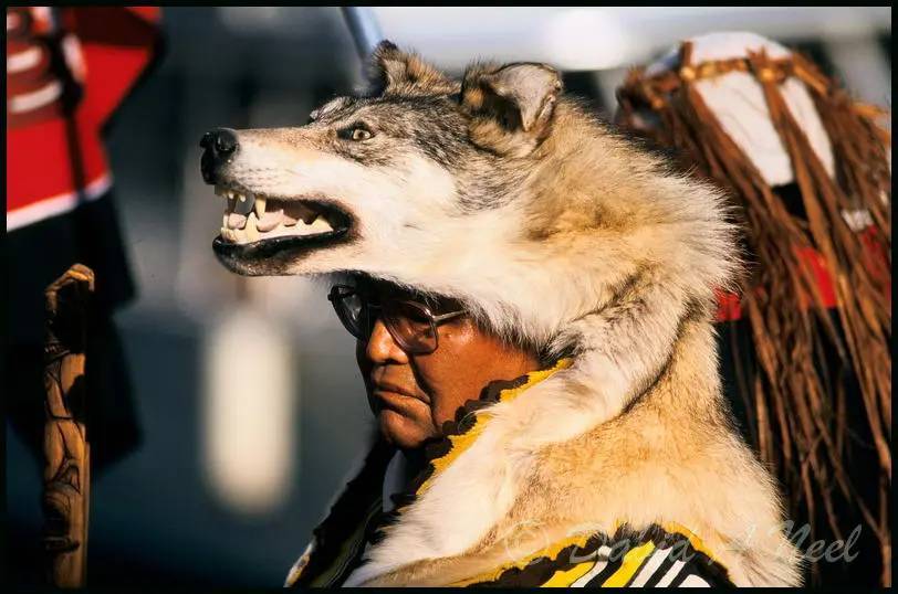 A Niss'ga chief from the Wolf clan.
